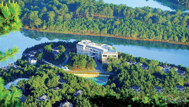 Chính Chủ Bán Nhanh Lại Khu Resort 5* đẹp Nhất Hồ Tuyền Lâm, Bao Phủ Bởi Hoa Và Thiên Nh