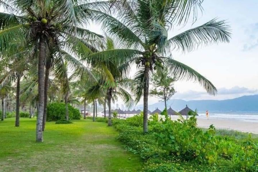 Cho thuê Biệt thự Villas Furama Resort 5 sao Đà Nẵng